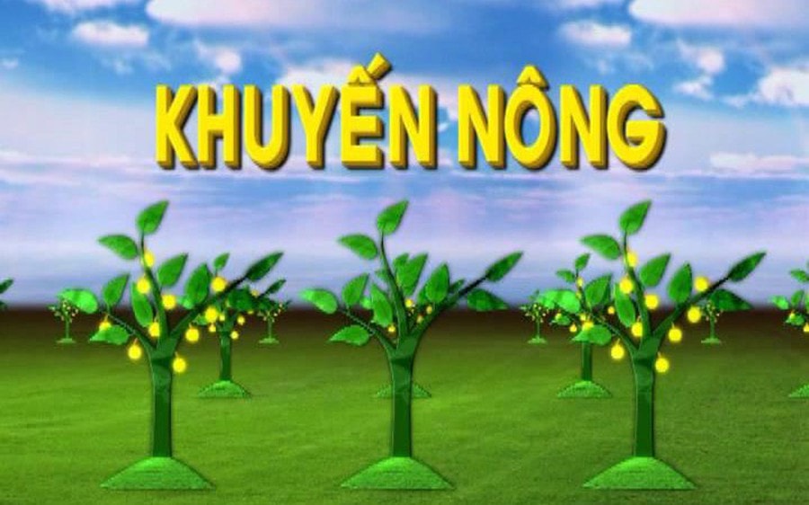 1344407-4-cm-rekommenderad-nongquan-ly-co-dai-bang-sofitbvtv-agthaosua-1761545806514554793091-41-0-491-720-crop-17615458146242108119978.jpg