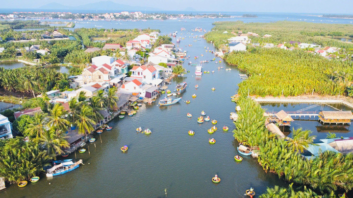 Khung cảnh xanh mát của rừng dừa nước tại làng Cẩm Thanh.