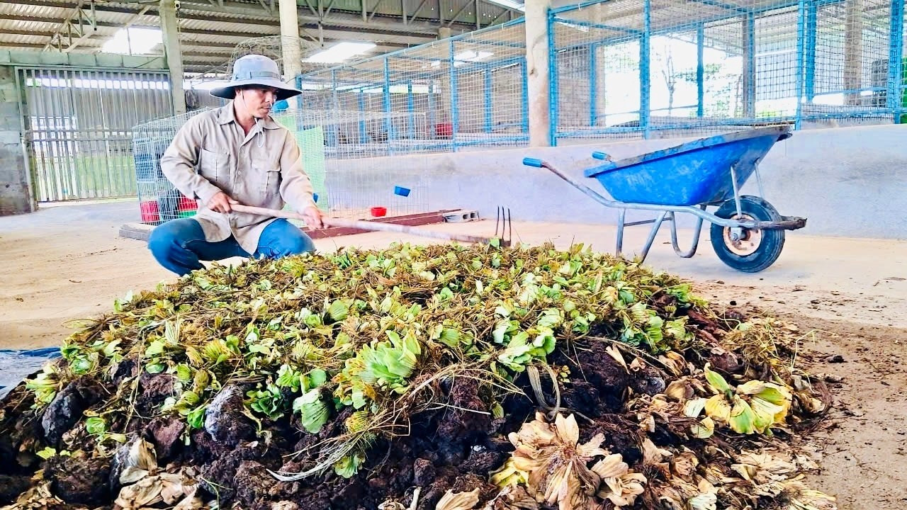 nong nghiep sach