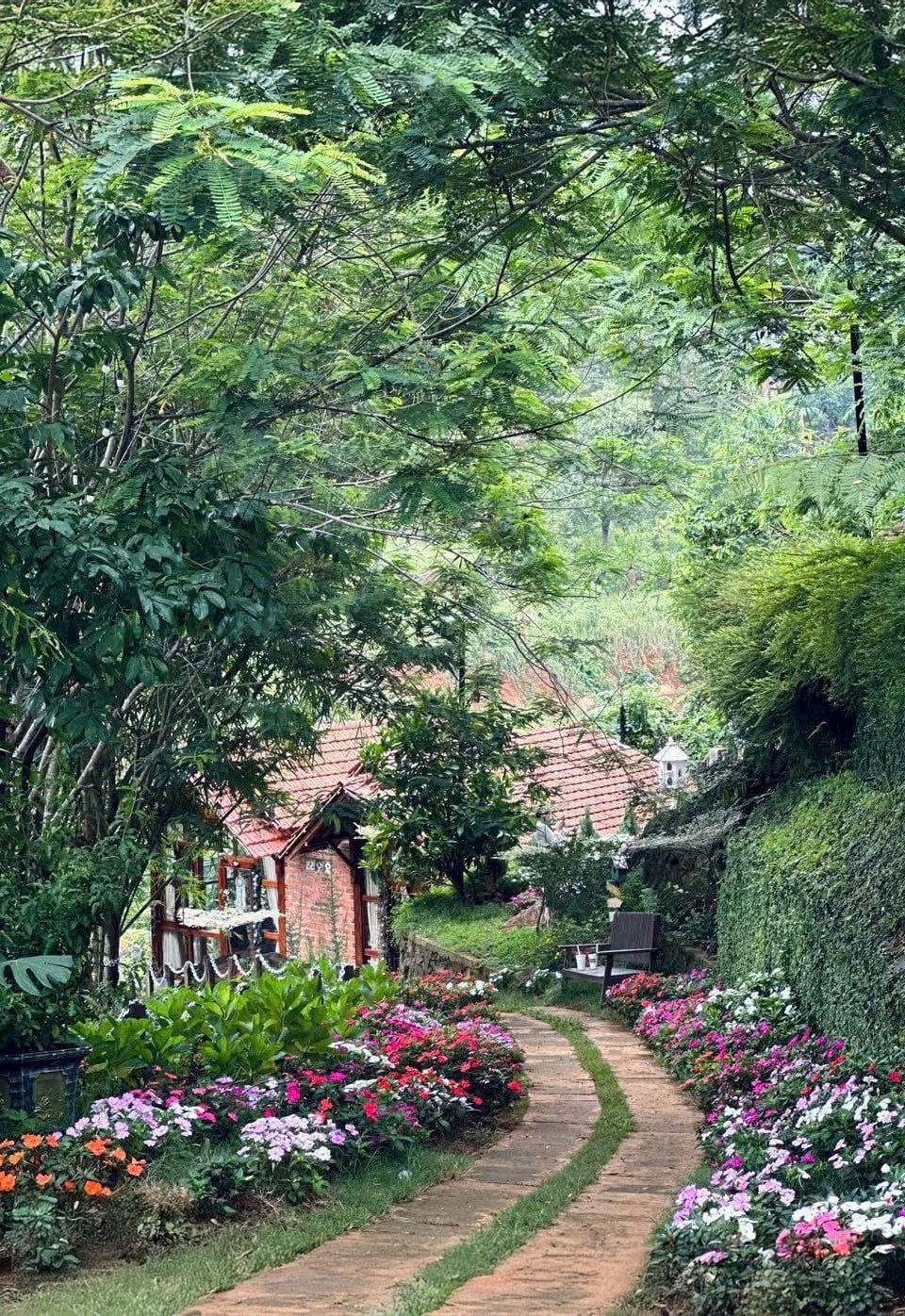 song cham 1