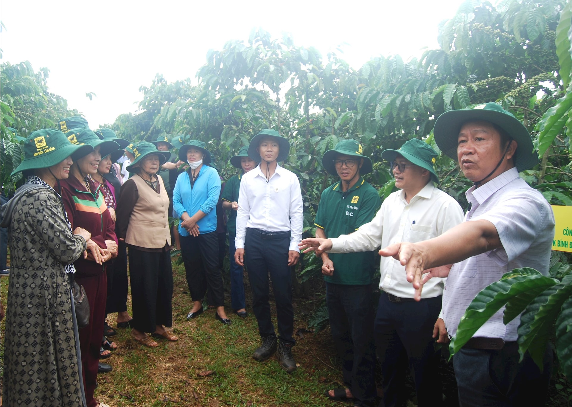 គណៈប្រតិភូសិក្ខាសាលាបានទៅទស្សនាគំរូកសិកម្មរបស់គ្រួសារ Nguyen Nhat Quyen ឃុំ Tan Ha ស្រុក Lam Ha ដែលមានផ្ទៃដីដាំដុះកាហ្វេសុទ្ធ ១,៥ ហិកតា ប៉ាន់ស្មានថាទទួលបានទិន្នផលជាង ៤ តោនក្នុង ១ ហិកតា។