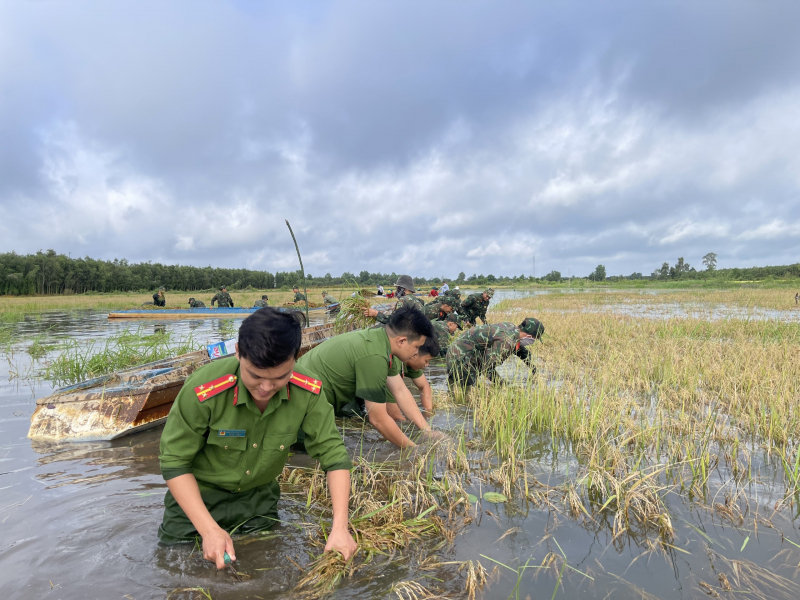 anh minh hoa bai 2