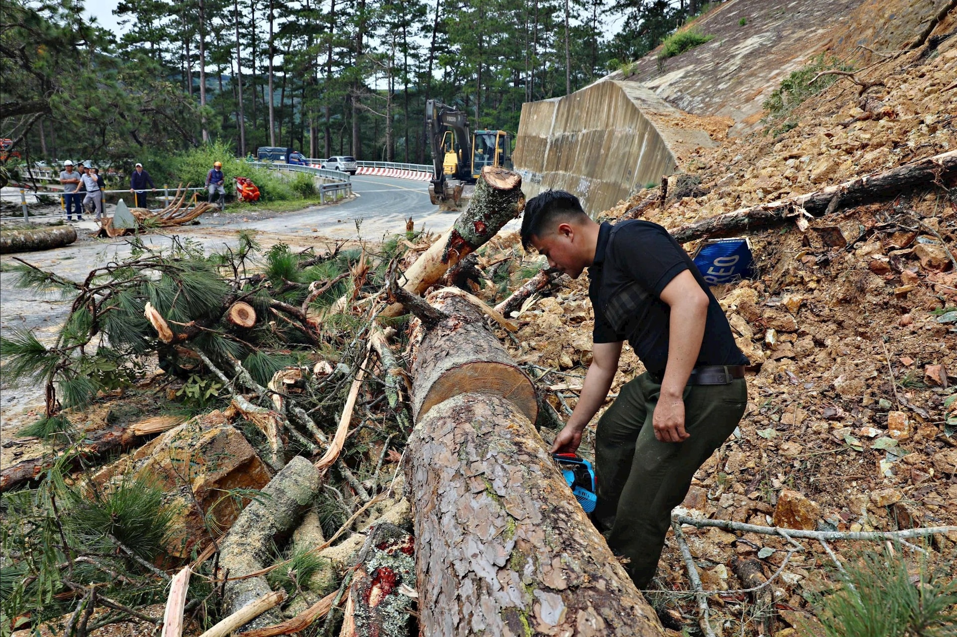 Workers cut down fallen trees on the road