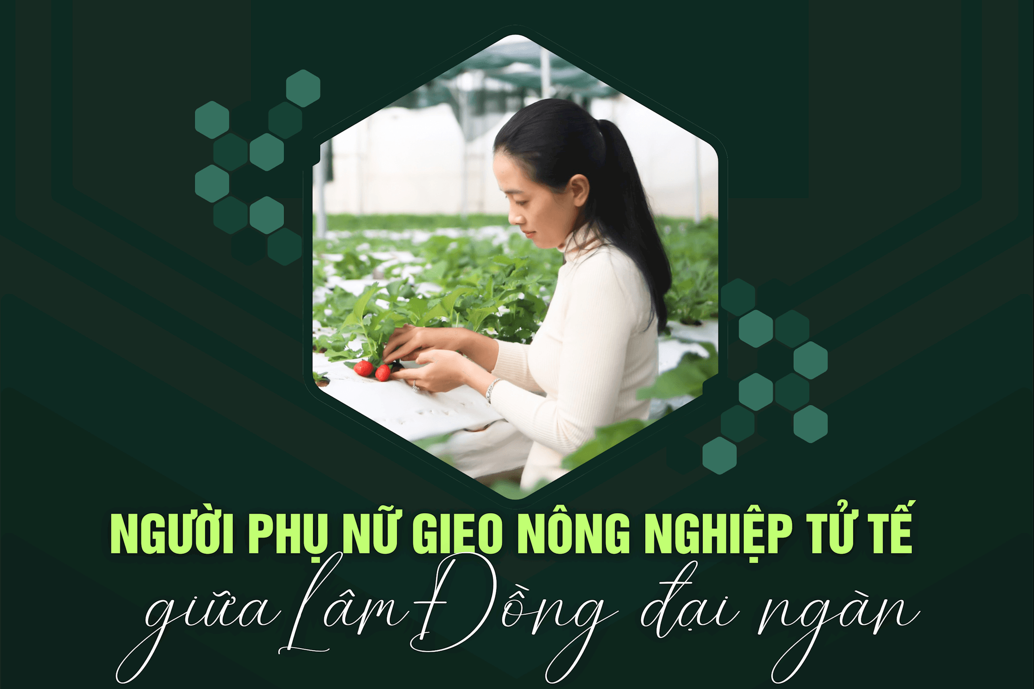 Danh mục 72 dự án thu hút đầu tư tỉnh Lâm Đồng năm 2025 và giai đoạn 2026-2030 (14)
