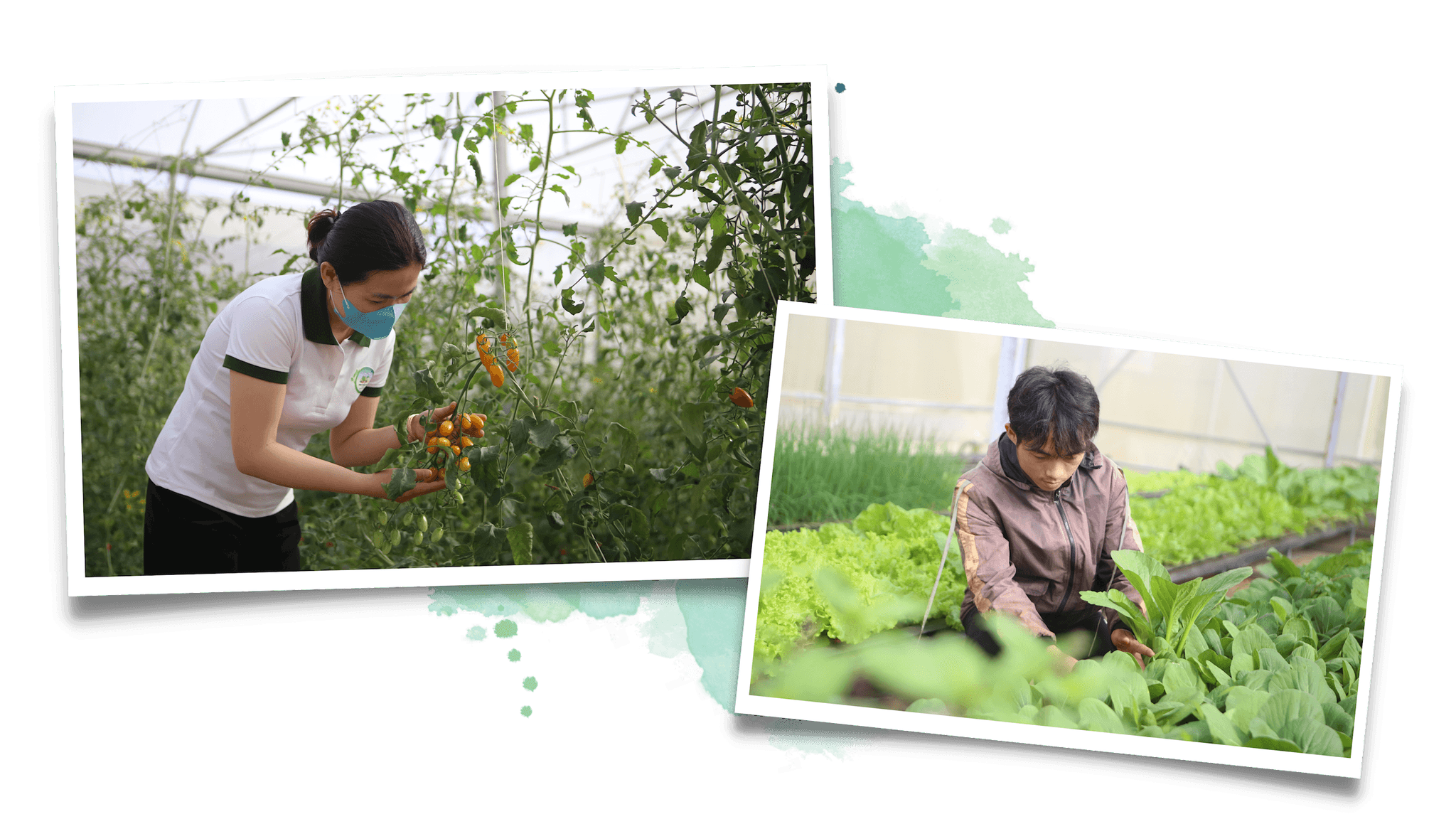 Thiết kế chưa có tên (1)