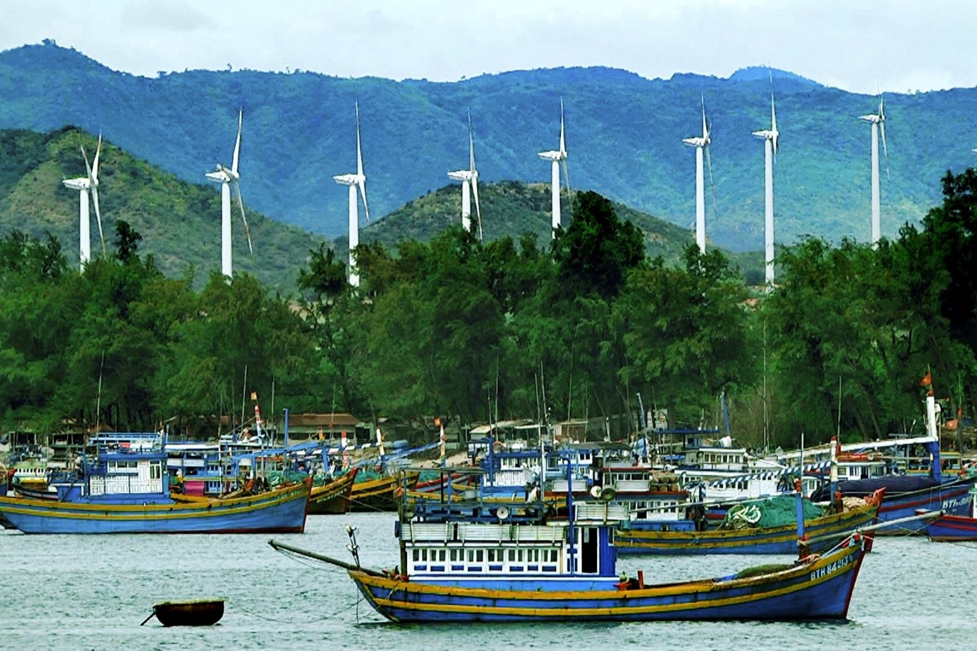 vinh hao3