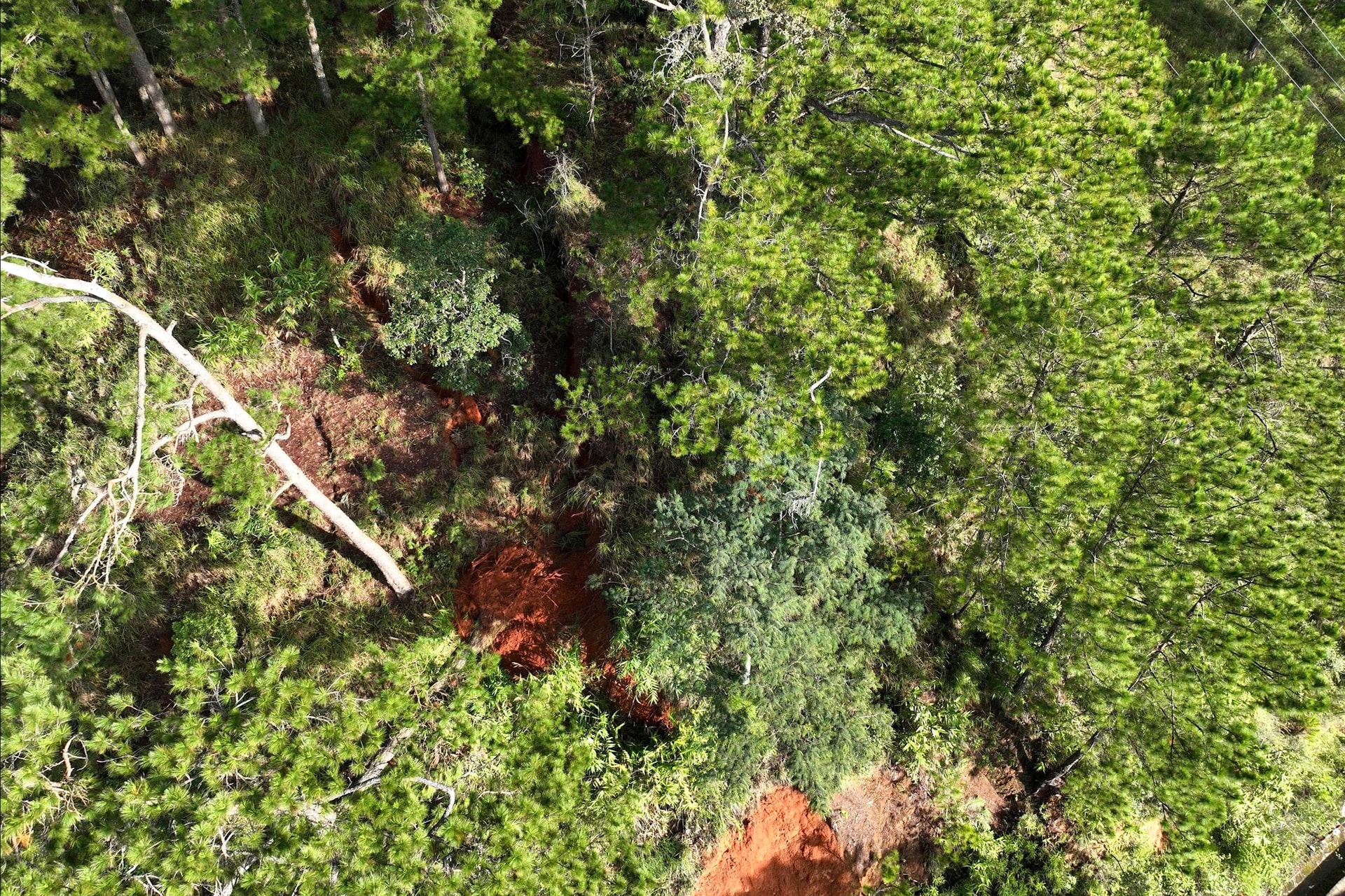 រូបភាពទី 1