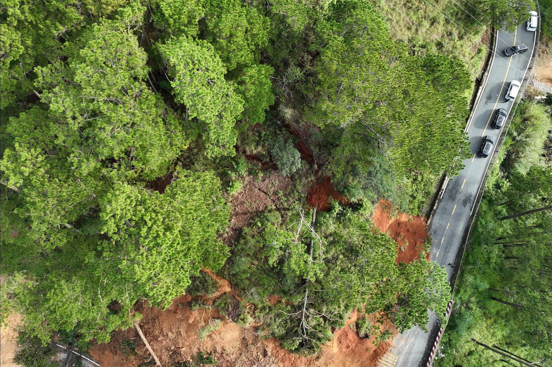 រូបភាពទី 2