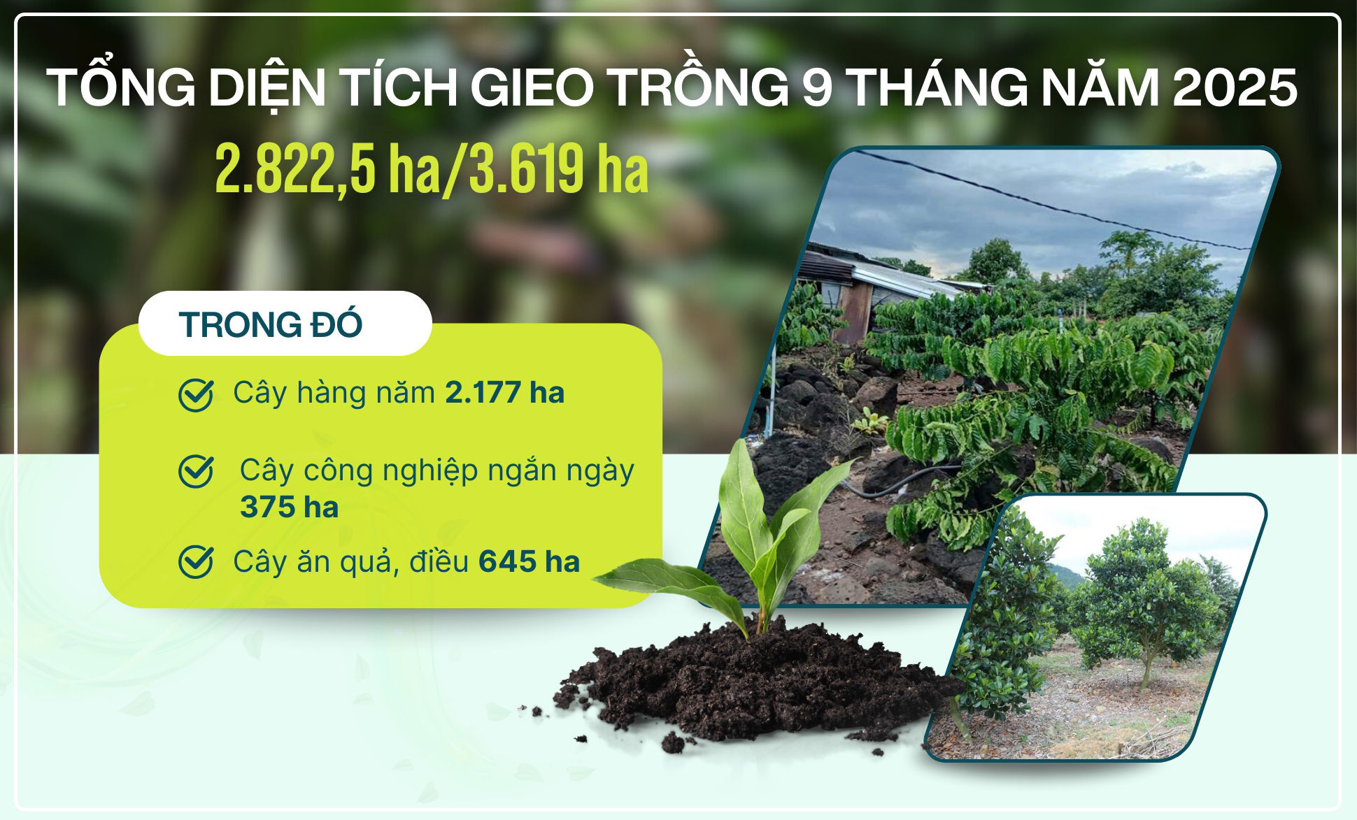 MẪU GHÉP NHIỀU ẢNH