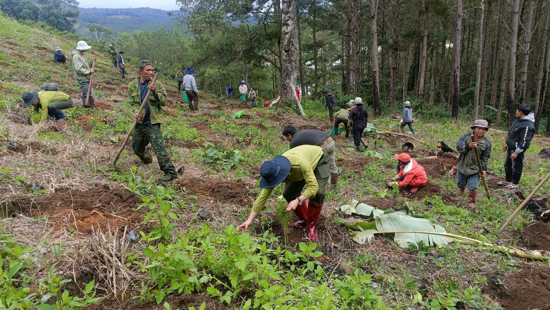 z7173650325284_fa8914fe3e3f9c7ad1f0d0bf6f4610a6 - Sao chép