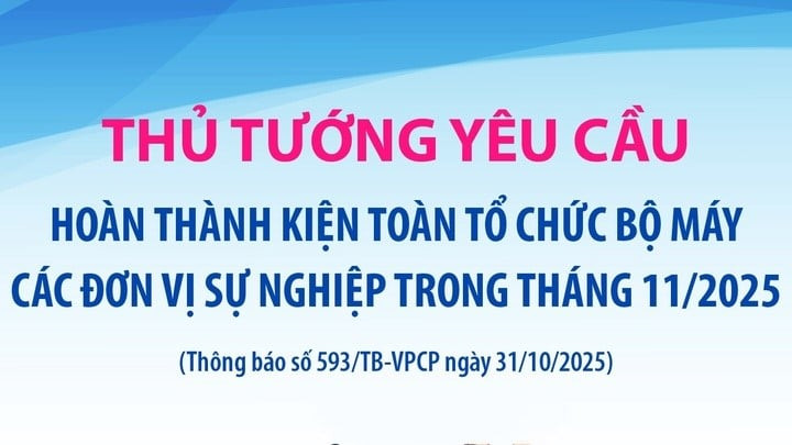 Hoàn thành tổ chức các đơn vị sự nghiệp trong tháng 11/2025