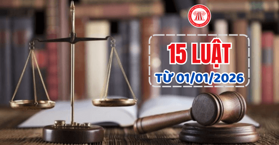15 Luật có hiệu lực từ ngày 01/01/2026