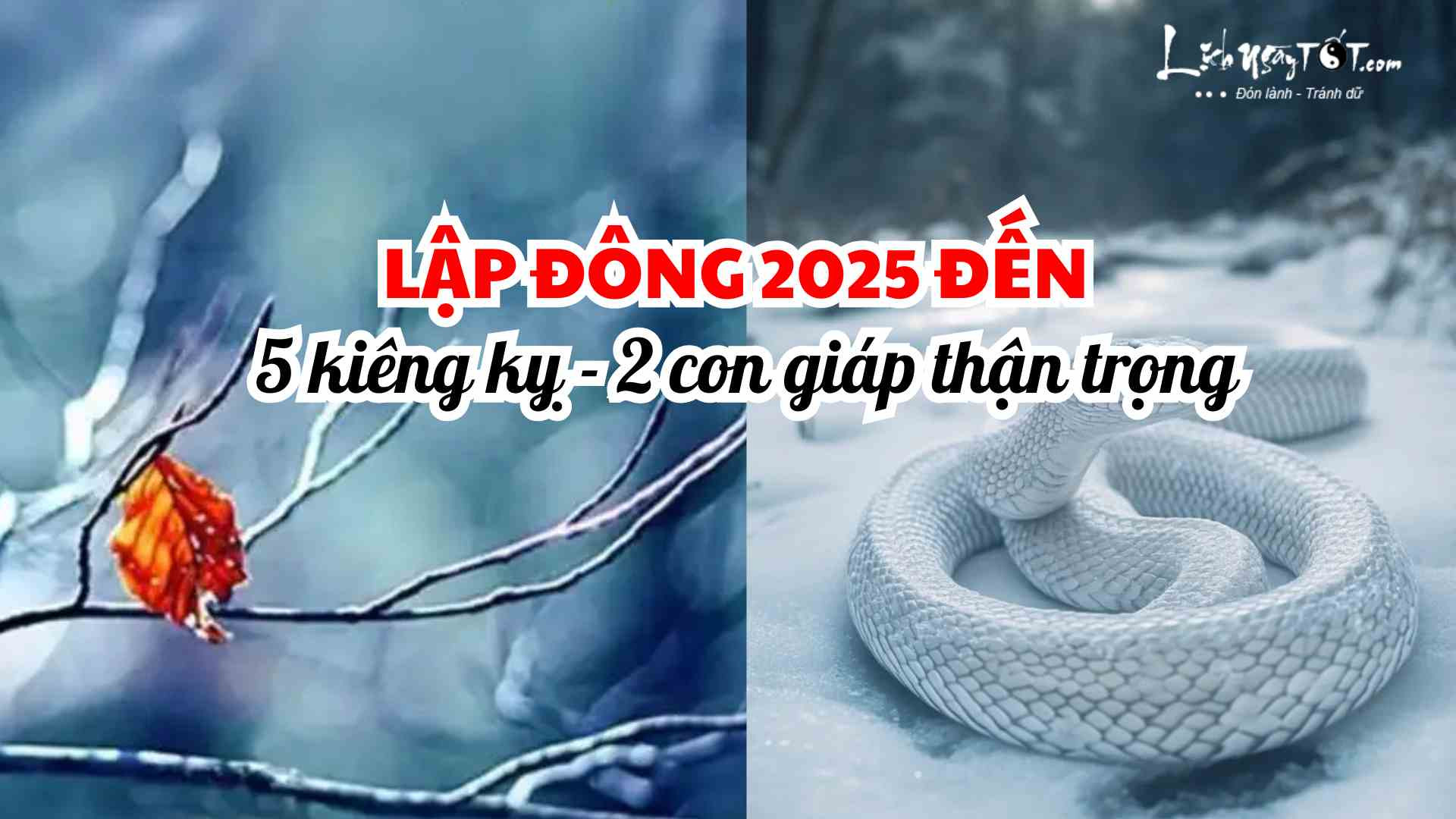 Con giap can than tiet lap dong 2025