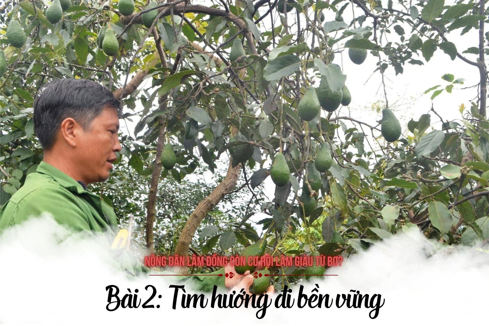 3X2 ویب کور فوٹو