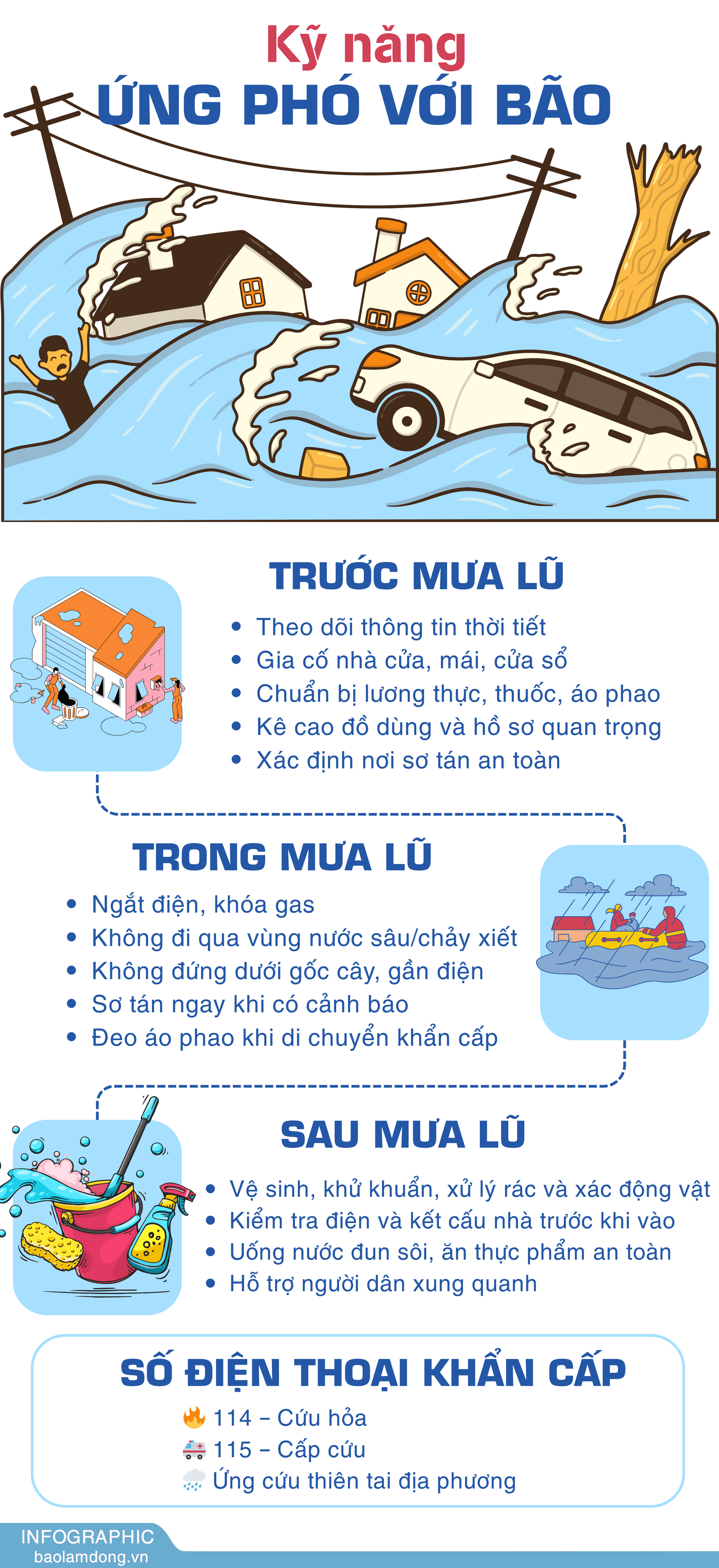 Green Illustrated Conservation Infographic (1)