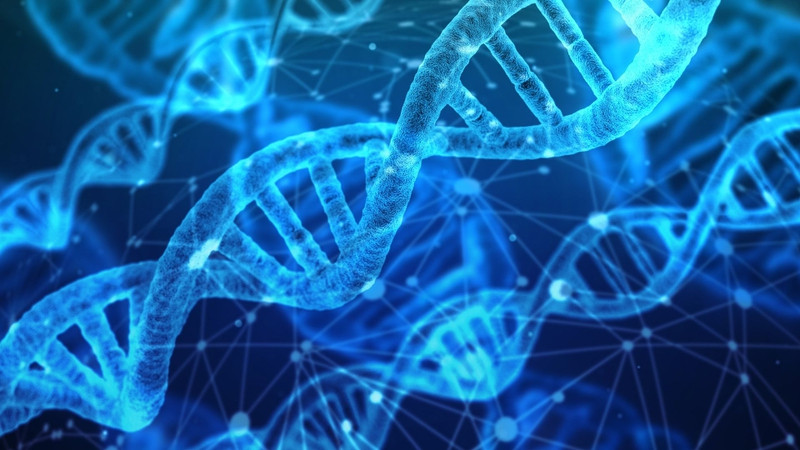 Xét nghiệm HPV DNA giúp xác định sự hiện diện của virus HPV trong cơ thể