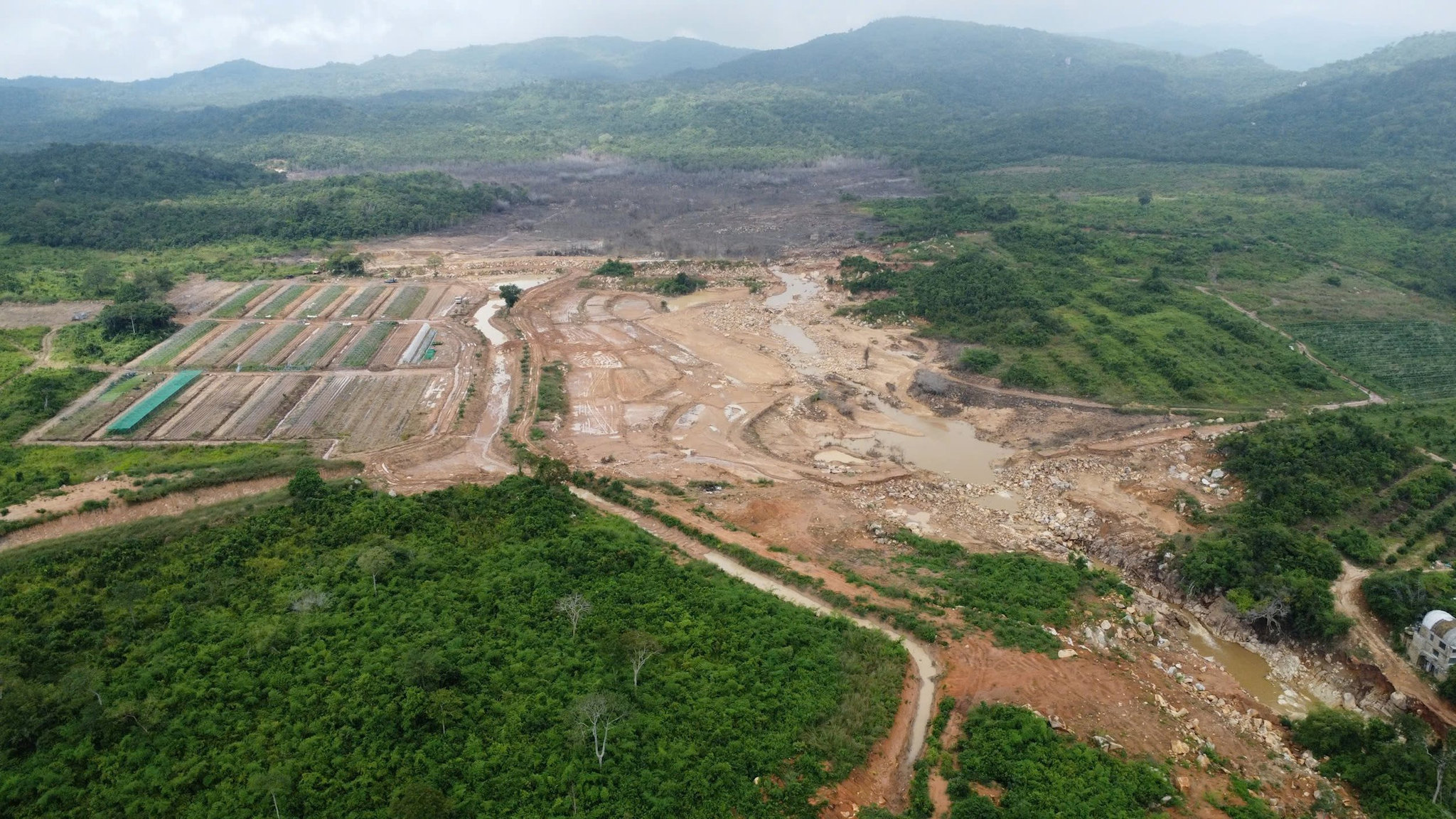 Dự án của Công ty Trang Trại Việt ta xã Tuy Phong có tổng diện tích 346,6 ha