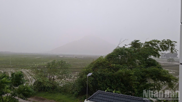 ndo_br_img-0600.jpg