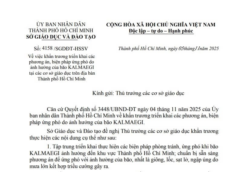 TPHCM: Có phương án học trực tuyến, tạm hoãn lịch học với học sinh để ứng phó bão KALMAEGI 