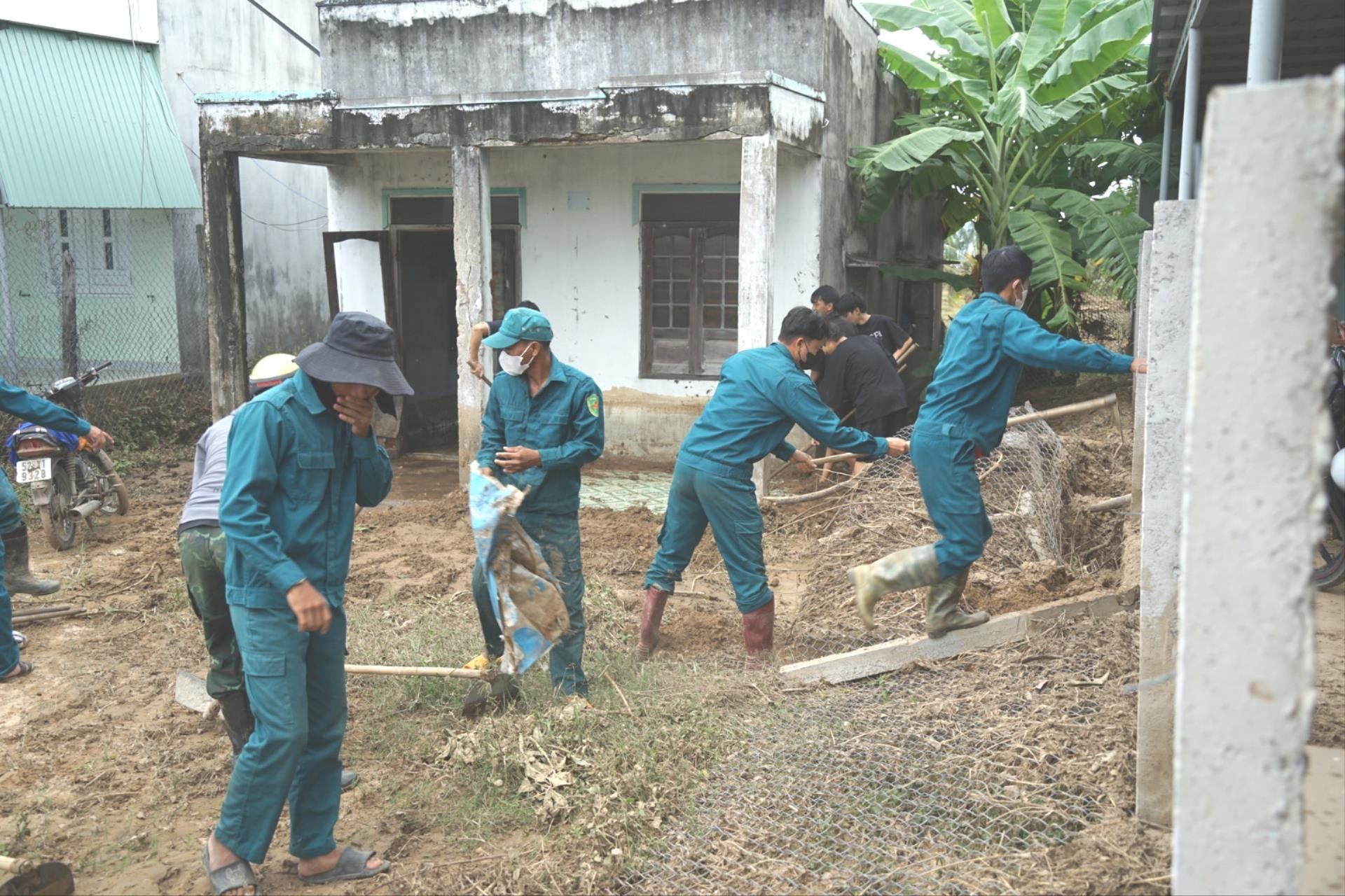 Dựng lại hàng rào, phát quang nhà cửa
