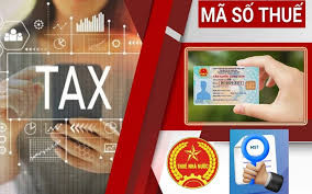 Cơ quan địa phương sẽ hướng dẫn sử dụng các dịch vụ thuế điện tử để đăng ký, kê khai và nộp thuế đến hộ gia đình (Hình ảnh từ Internet)