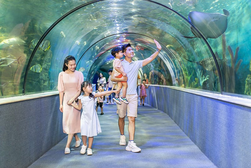 Người chơi được hướng dẫn kỹ thuật bắn cung tại câu lạc bộ