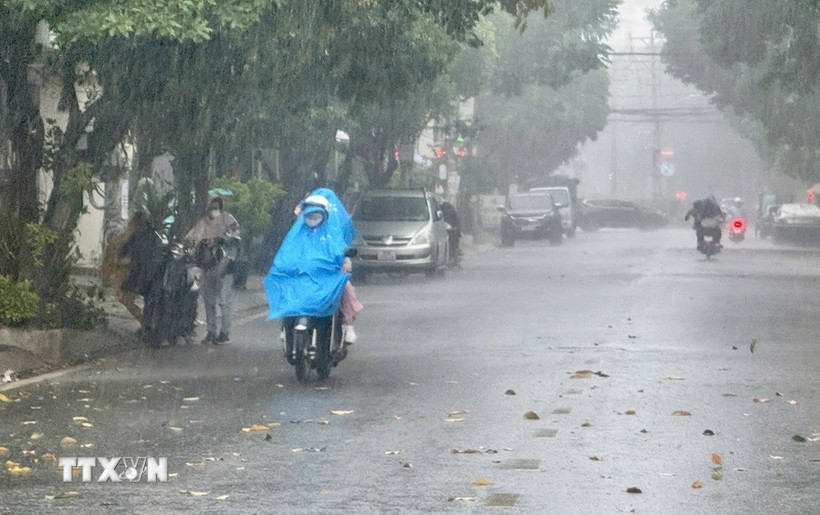 Ảnh minh họa. (Ảnh: TTXVN phát)