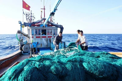 Tháng cao điểm chống khai thác hải sản bất hợp pháp. (Ảnh: VGP)