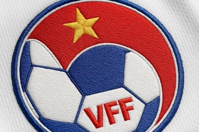 LĐBĐ Việt Nam gặp sự cố 'tr&ecirc;n trời rơi xuống', đại diện VFF gửi th&ocirc;ng b&aacute;o quan trọng tới NHM
