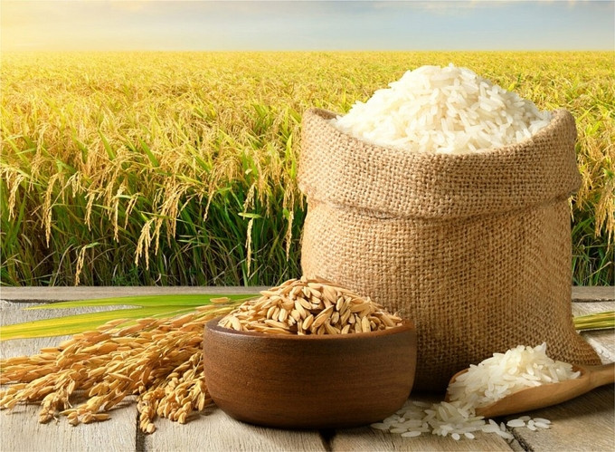 Giá lúa gạo hôm nay 10/11 Thị trường ổn định