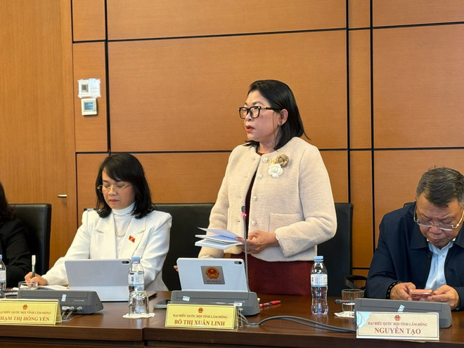db-xuan-linh.jpg