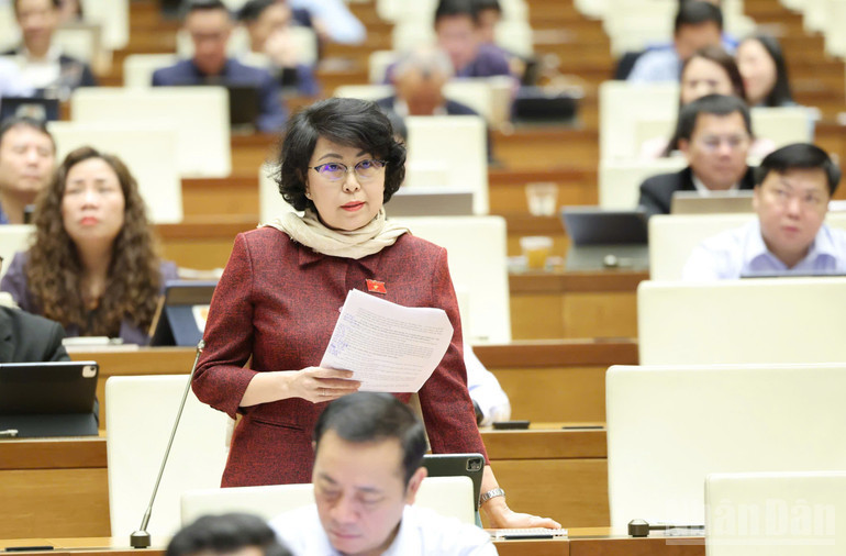 ndo_br_to-thi-bich-chau-hcm.jpg