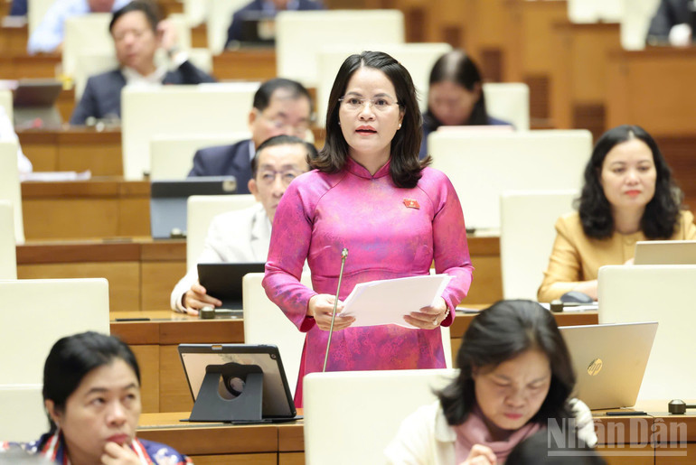 ndo_br_nguyen-hoang-bao-tran-hcm.jpg