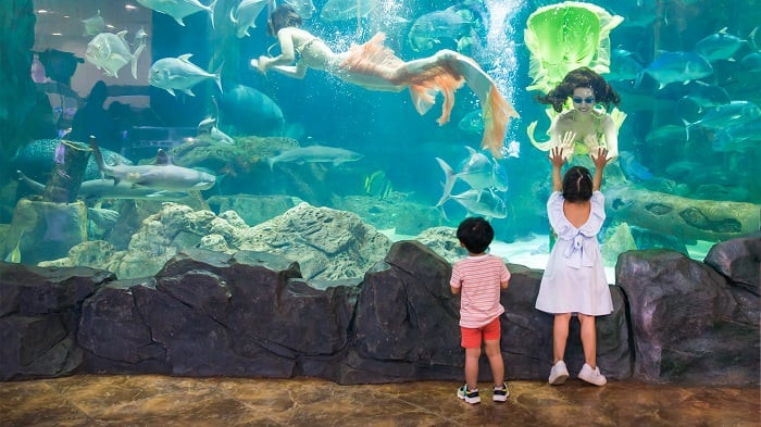 Đường hầm kính trong suốt tại Thủy cung Times City.