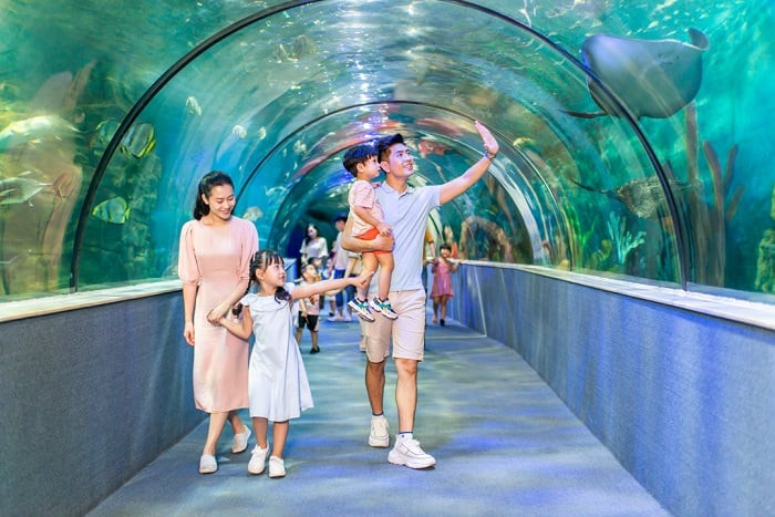 Bên trong Thủy cung Times City với đường hầm kính đặc trưng.