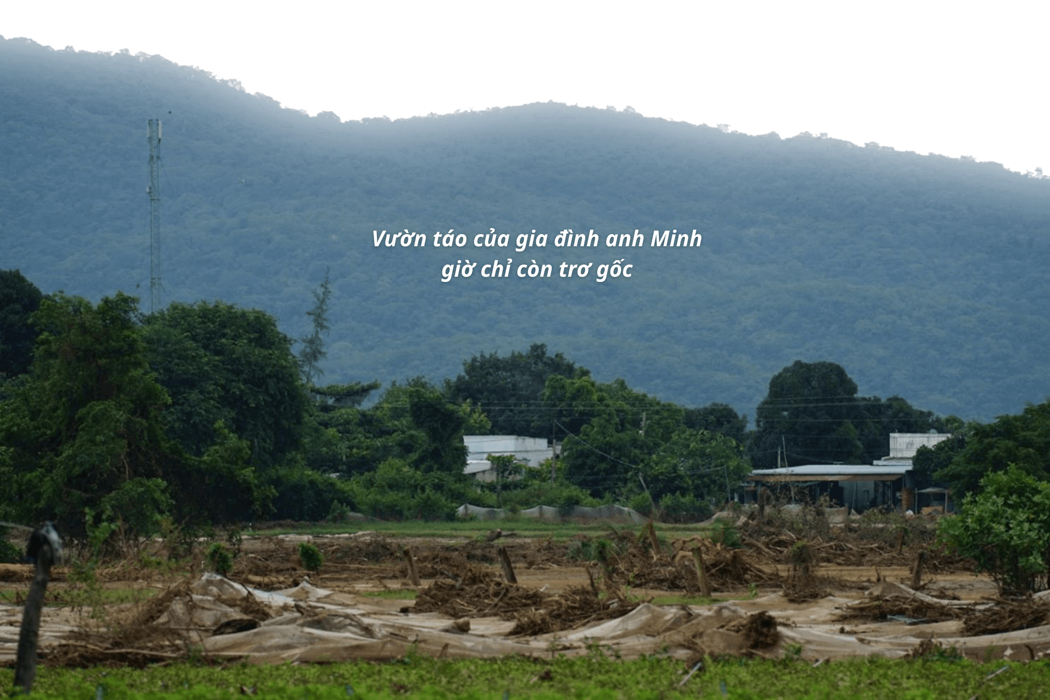 Thêm tiêu đề (1)
