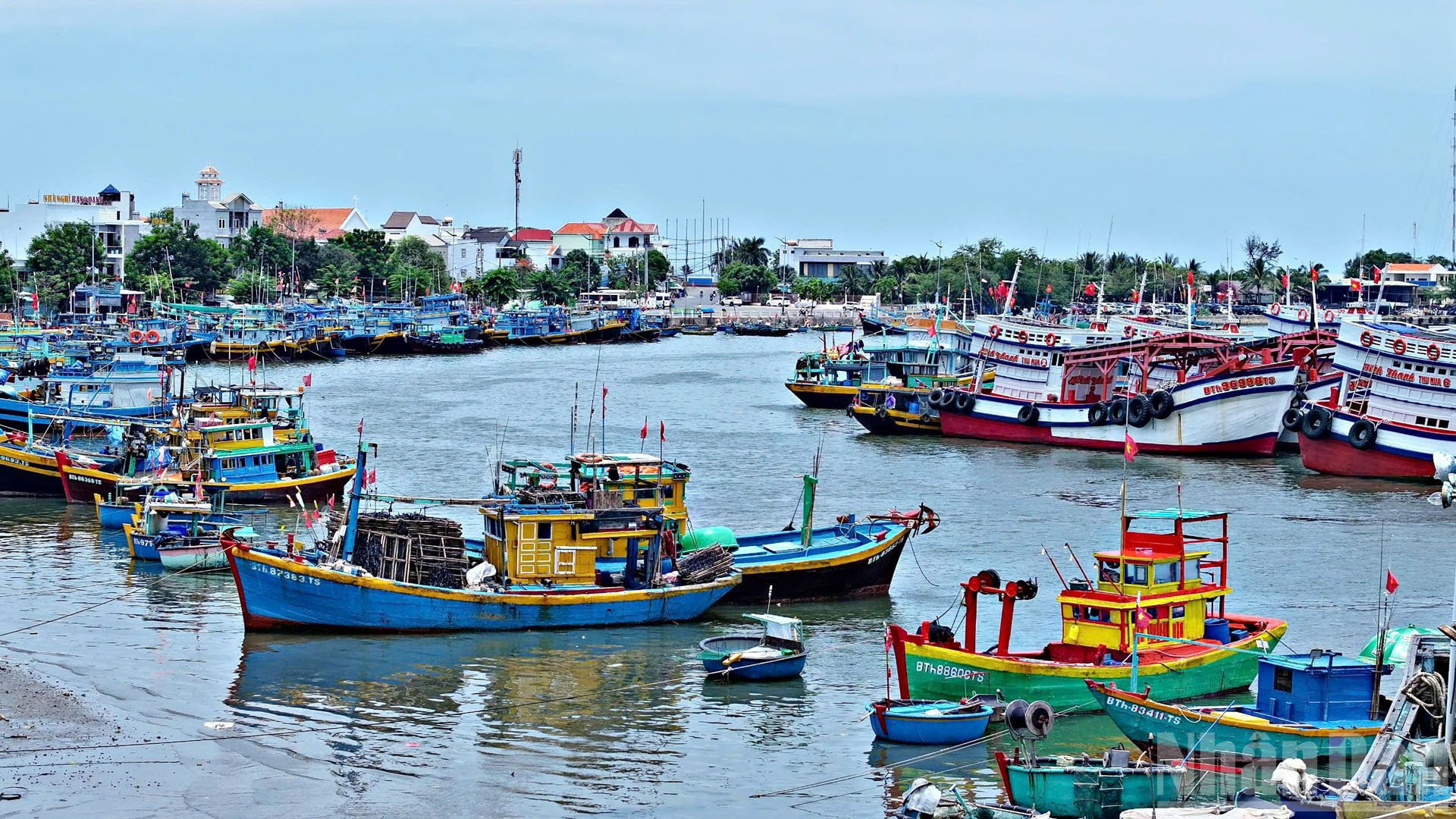 Lâm Đồng hiện nay đa dạng loại hình kinh tế, trong đó kinh tế biển khá phát triển. ndo_br_kinh-te-bien.jpg