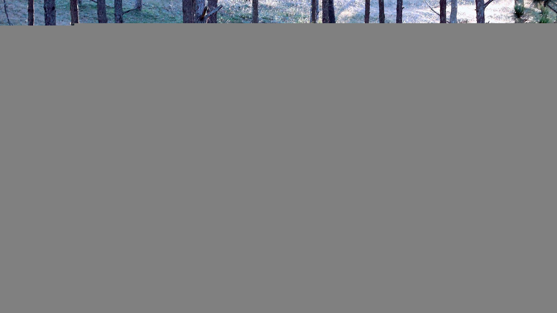 ndo_br_7-mien-hoang-da.jpg