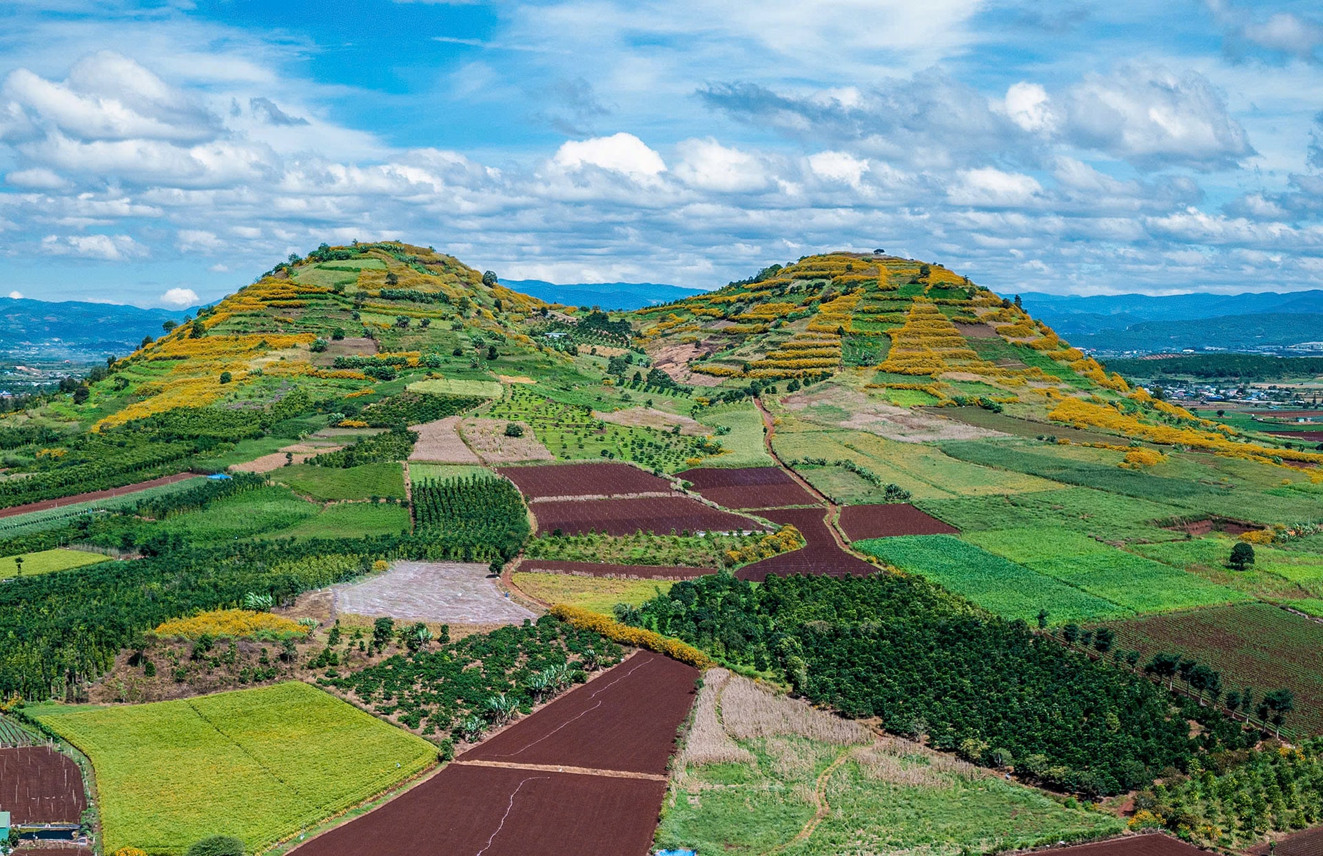 εμφιαλωμένο δέρμα