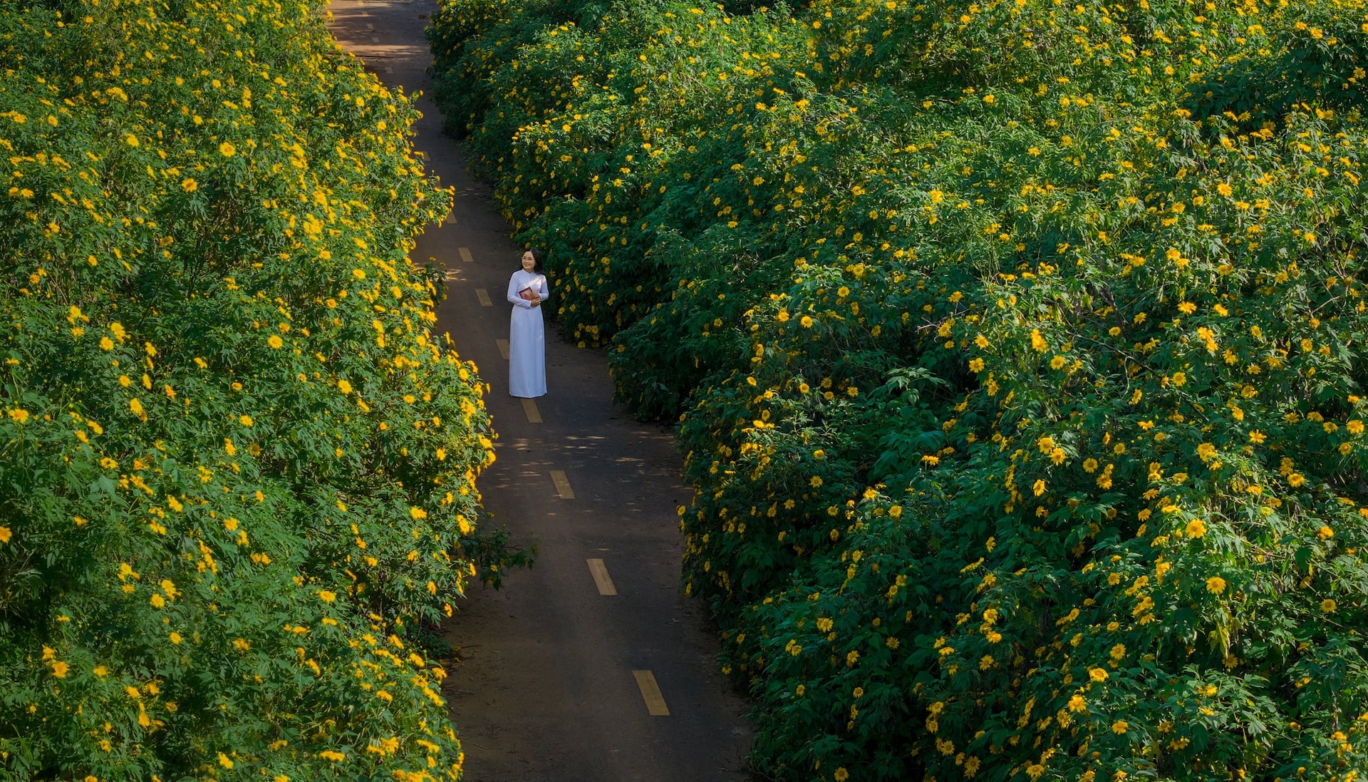 DJI_20251113075911_0003_D αντίγραφο