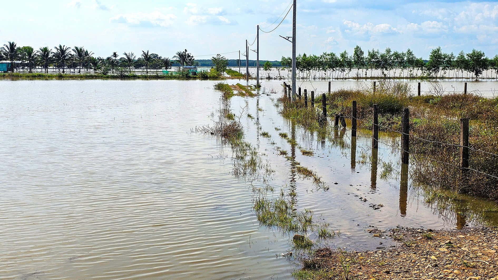 gen-h-ngap canh Dong