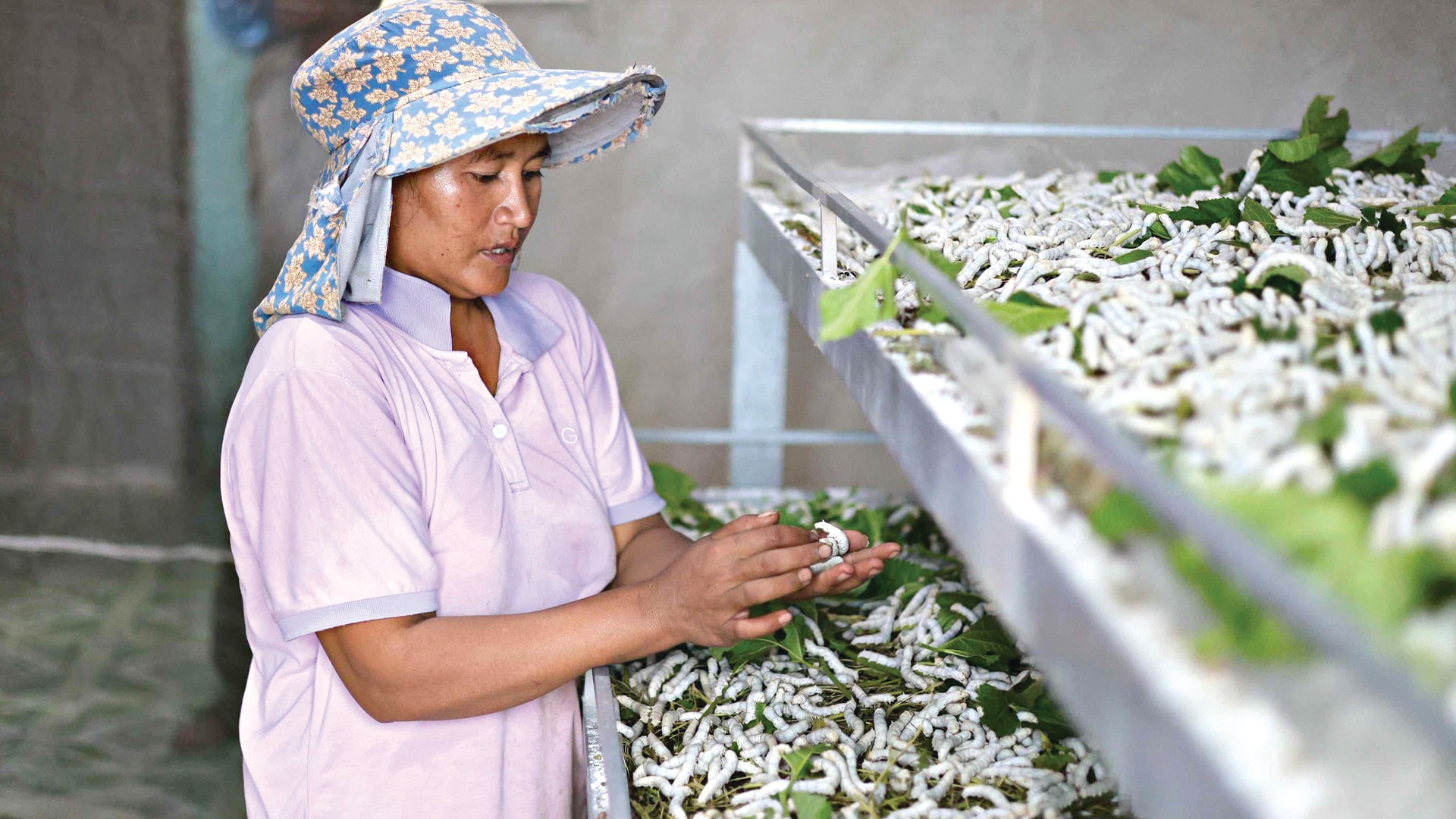 កូនដំបូង