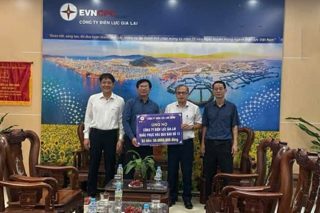 ho-tro-cong-ty-dien-luc-gia-lai-50-trieu-dong(1).jpg