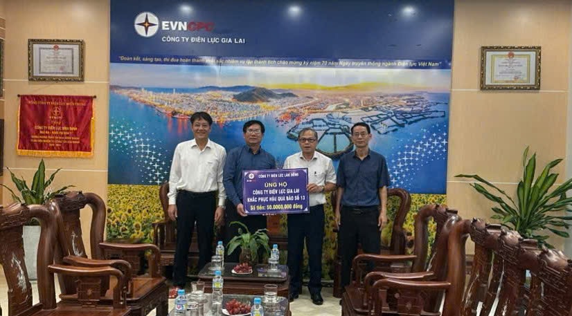 Поддержите электроэнергетическую компанию Gia Lai Electricity Company на сумму 50 миллионов донгов.