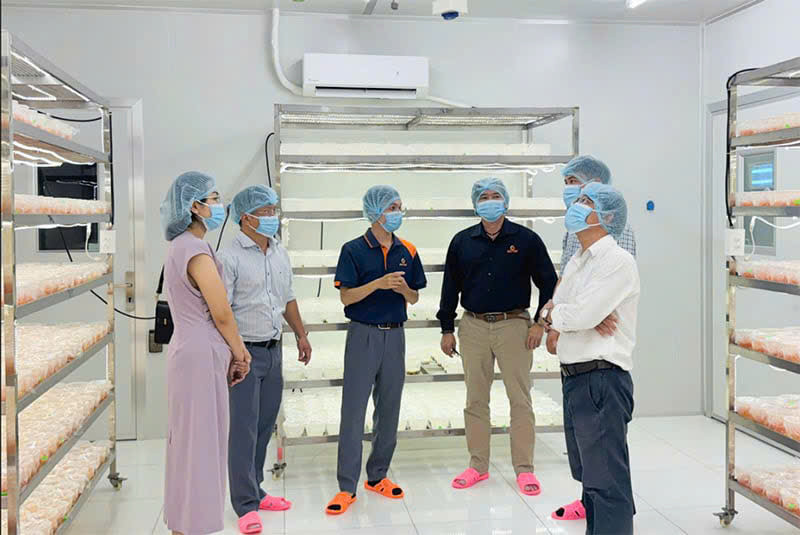 Tham quan quy trình nuôi cấy nấm đông trùng hạ thảo.