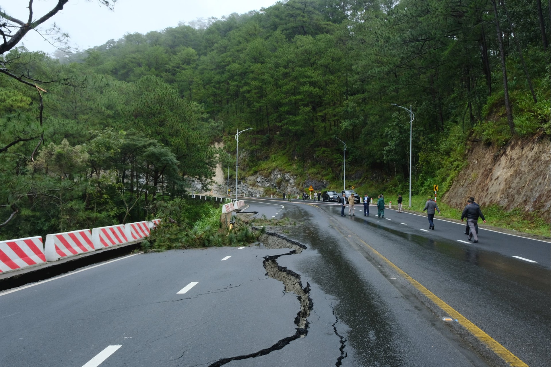 dscf6179.jpg