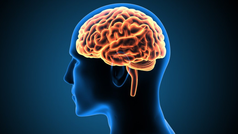 Ảnh minh họa. Nguồn: Neurospinesurgical