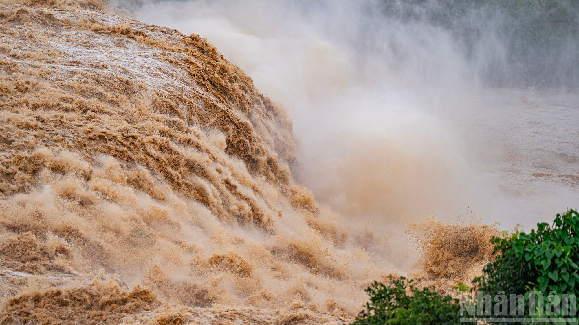ndo_br_lk8.jpg