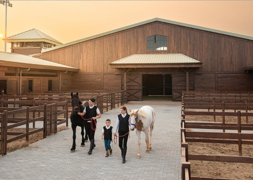 Vinpearl Horse Academy Vũ Yên