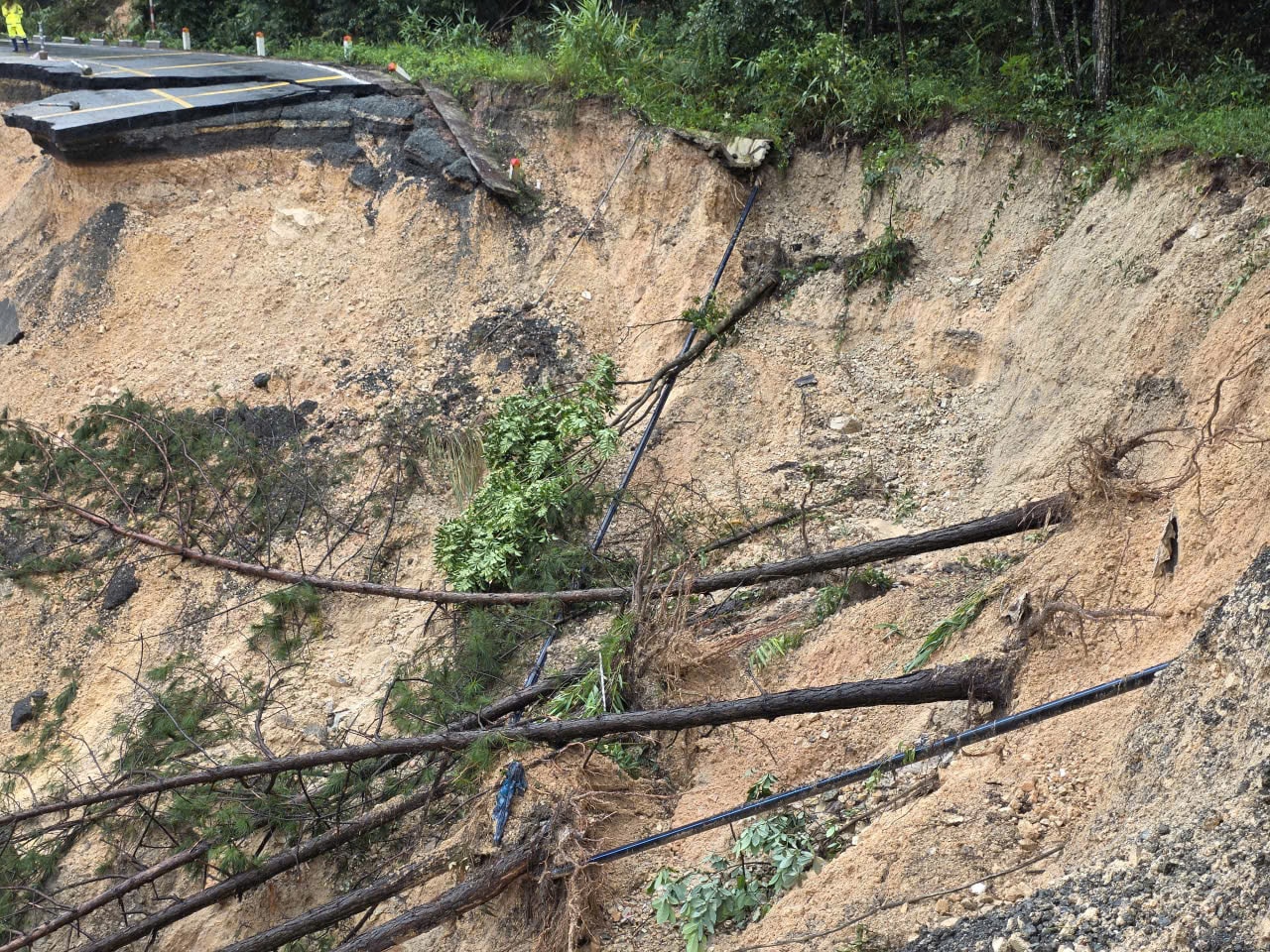 Semănat 3 - Copiere